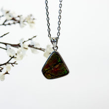 Load image into Gallery viewer, RARE Canadian Ammonite Crystal S925 Pendant with 304 Stainless Steel Chain Necklace