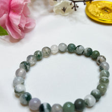 Load image into Gallery viewer, Tree Agate