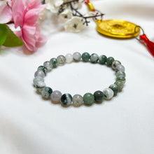 Load image into Gallery viewer, Tree Agate