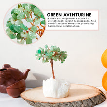 Load image into Gallery viewer, Money Trees