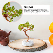 Load image into Gallery viewer, Money Trees