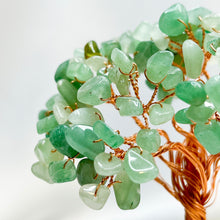 Load image into Gallery viewer, Money Trees