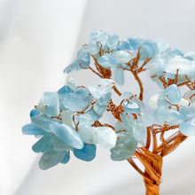 Load image into Gallery viewer, Money Trees