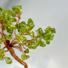 Load image into Gallery viewer, Money Trees