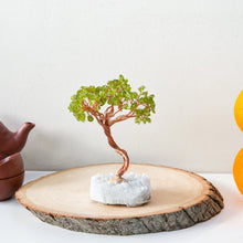 Load image into Gallery viewer, Money Trees