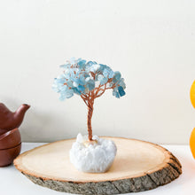 Load image into Gallery viewer, Money Trees