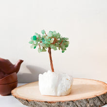 Load image into Gallery viewer, Money Trees