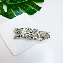 Load image into Gallery viewer, Baby White Sage
