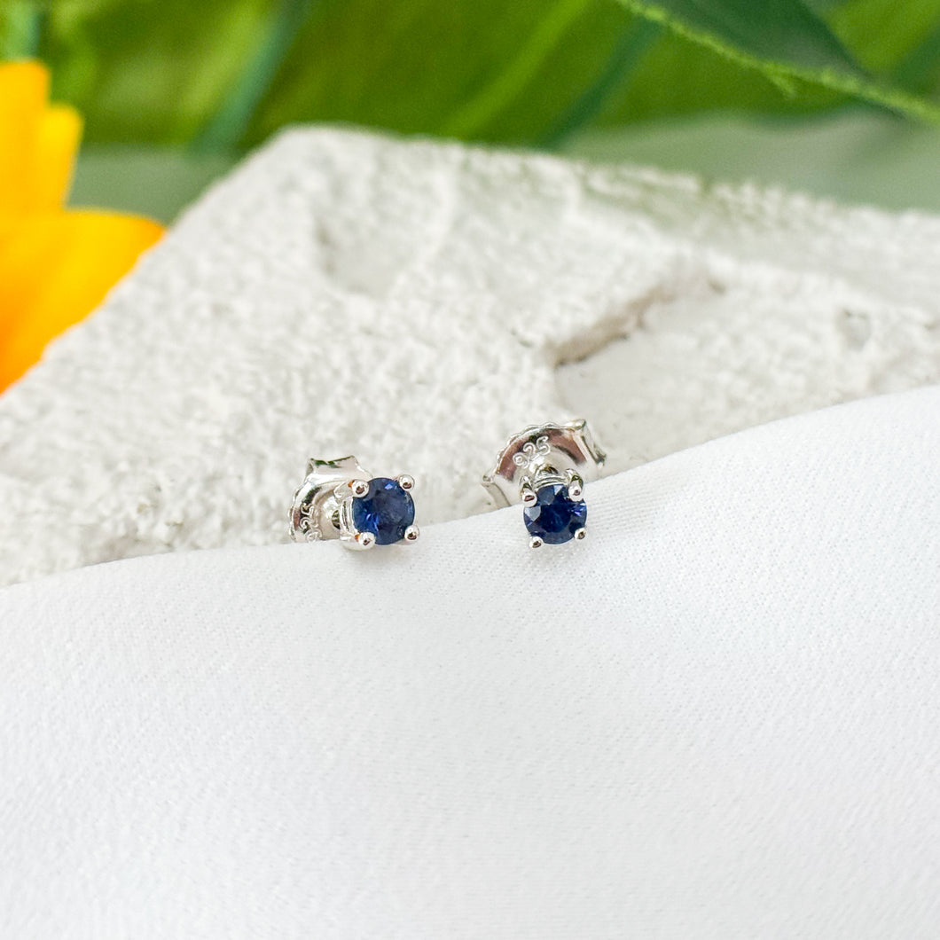 Sapphire S925 Sterling Silver Earrings
