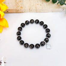 Load image into Gallery viewer, Hypersthene (God of Fortune) w/ S925 Meteorite Charm (Sweden) Crystal Bracelet
